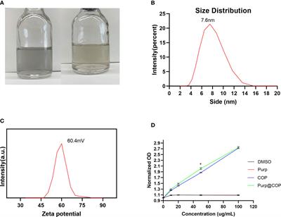 Covalent organic polymer induces apoptosis of liver cancer cells via photodynamic and photothermal effects